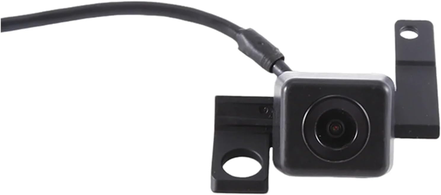 大判ステンドグラス Hummingbird ハミングバードと蘭グラスマスターズ